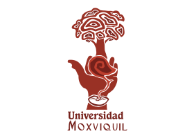 Aula Virtual — Universidad Moxviquil