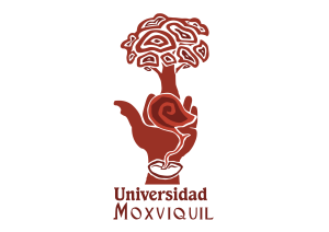 AulaMoxviquil