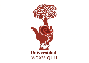 AulaMoxviquil